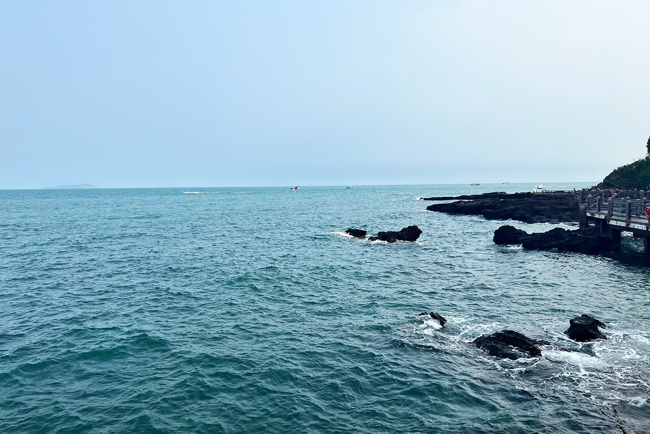 V΅^(q)НލuW(wng)ӛ 馔z