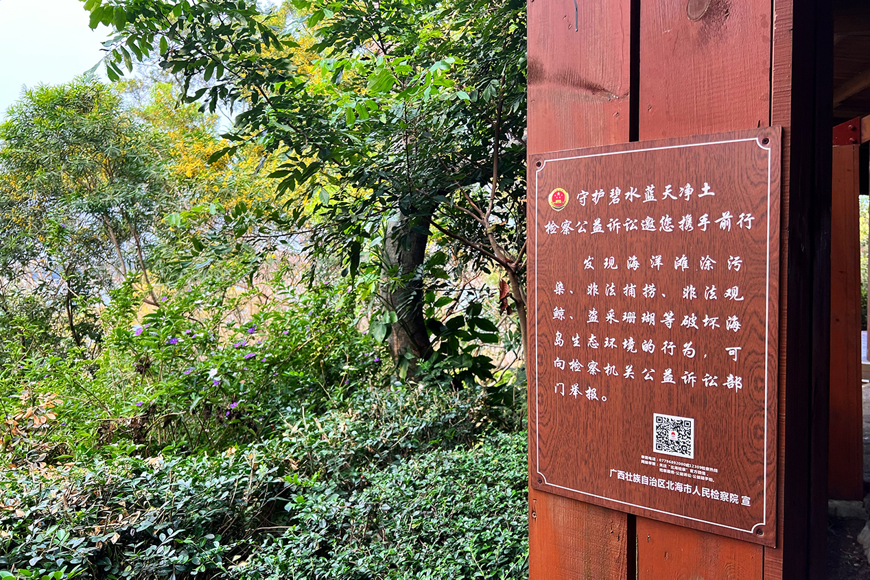 V΅^(q)НލuNЙz칫VAʾơW(wng)ӛ 馔z