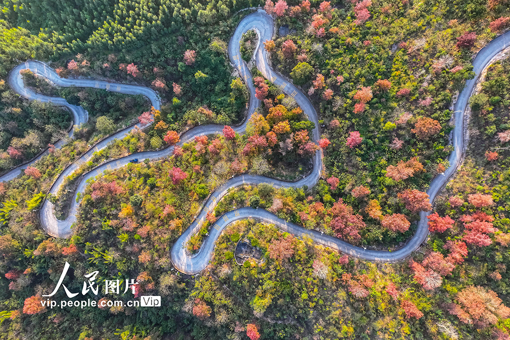 福建福清：“四好農(nóng)村路”美如畫