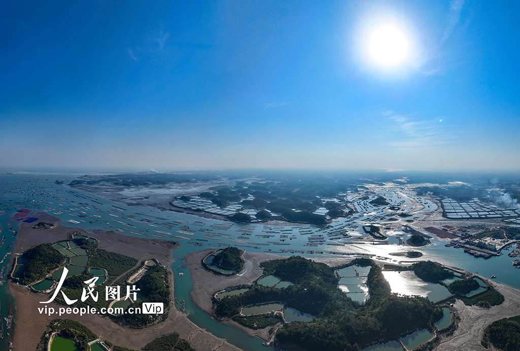 廣西欽州：海洋牧場 冬景如畫【4】