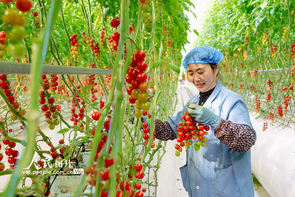 打造生態(tài)智慧農(nóng)業(yè)